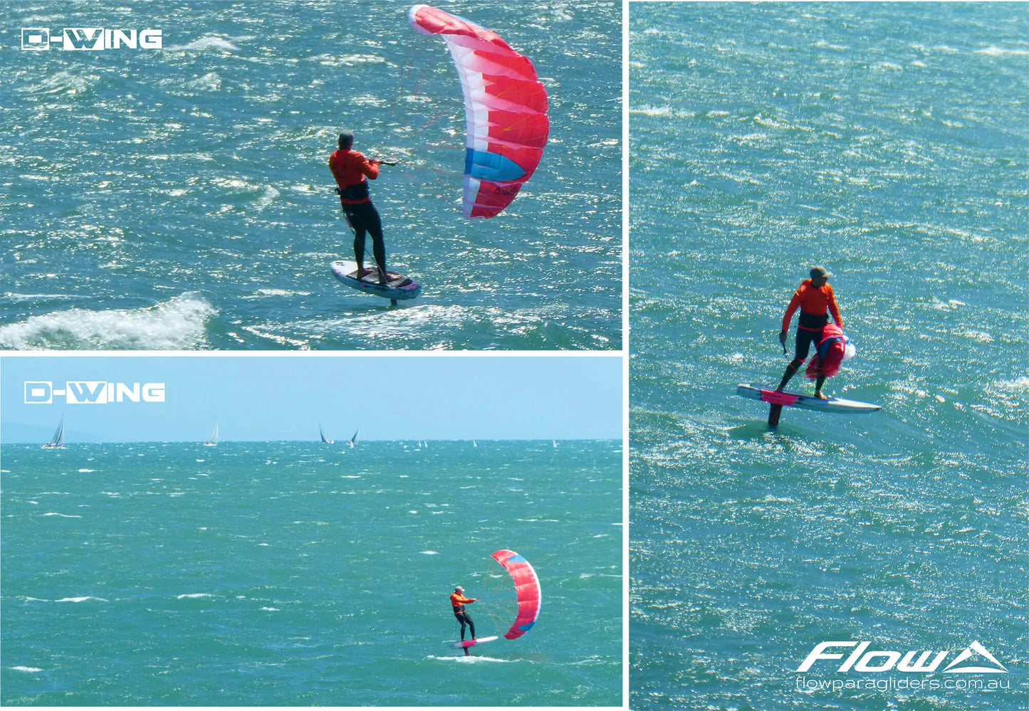 Parawing, D-WING, Flow paragliders